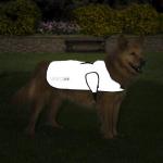 Proviz Reflect360 Dog Jacket 1
